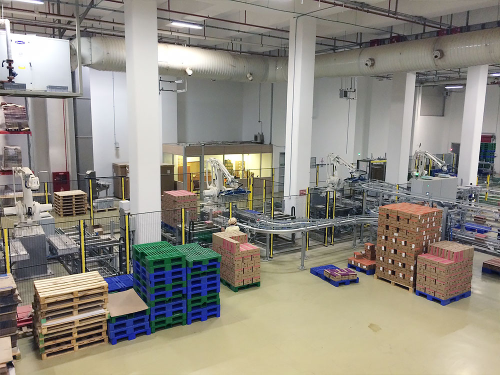 Palletizing Systems Secondary Packaging